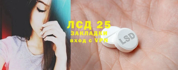 ECSTASY Алзамай