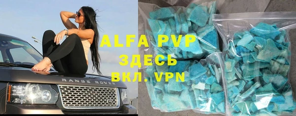 ECSTASY Алзамай
