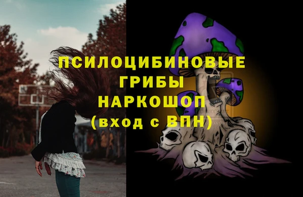 МДПВ Алексин