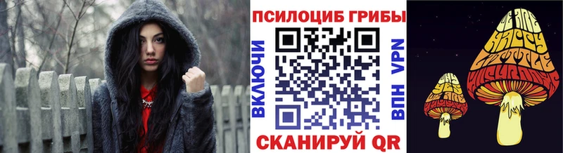 купить наркоту  Алзамай  Псилоцибиновые грибы мицелий 